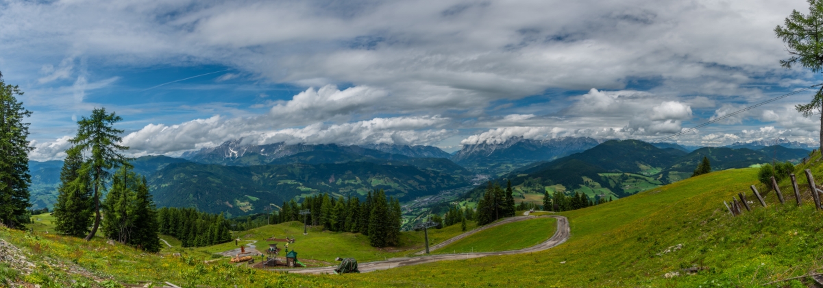 מידע על אלטנמרקט